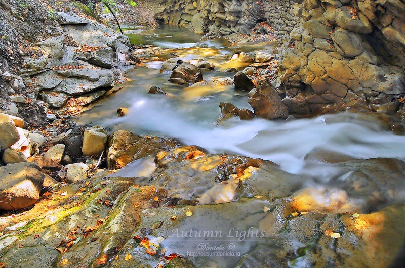 autumn-lights